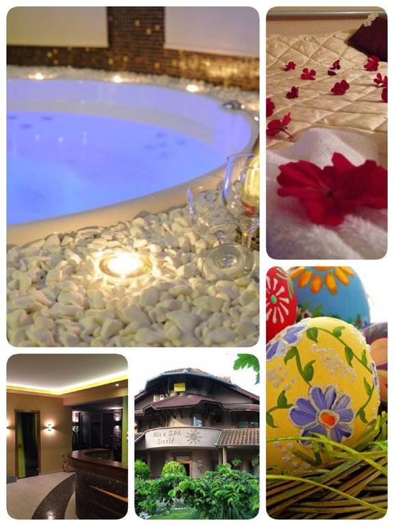 Villa I Spa Stevic Veliko Gradište エクステリア 写真